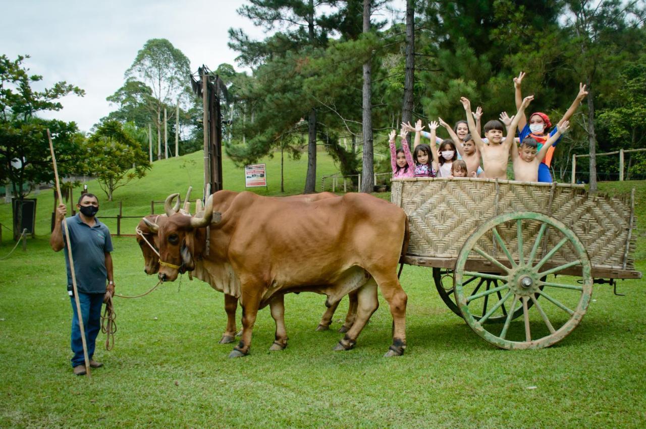 Hotel Fazenda Chiminelli Cachoeiras de Macacu Exteriör bild